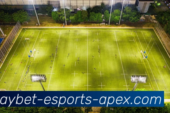 App Interface Preview